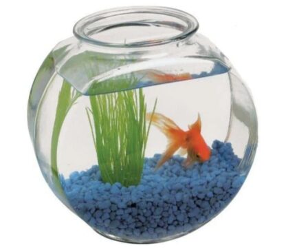 Glass Fishbowl Starter Set - Image 3