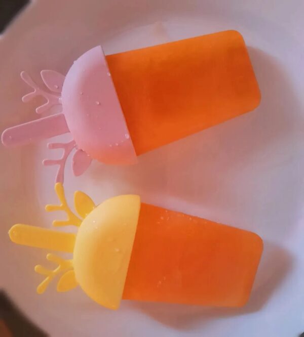 Popsicle Moulds - Image 2